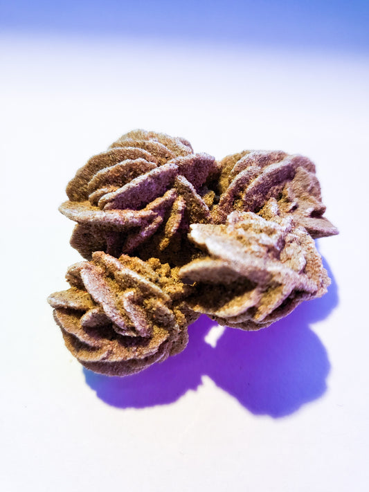 Desert Rose - Natural Raw Stones - Small, Medium, or Large