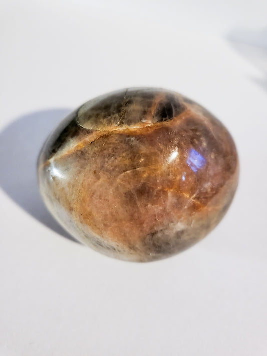 Black Moonstone Palm Stone